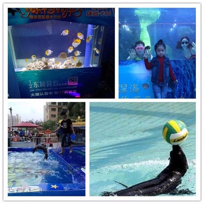 德宏特色馬戲團(tuán)出租 斗雞斗羊表演活動(dòng)方案